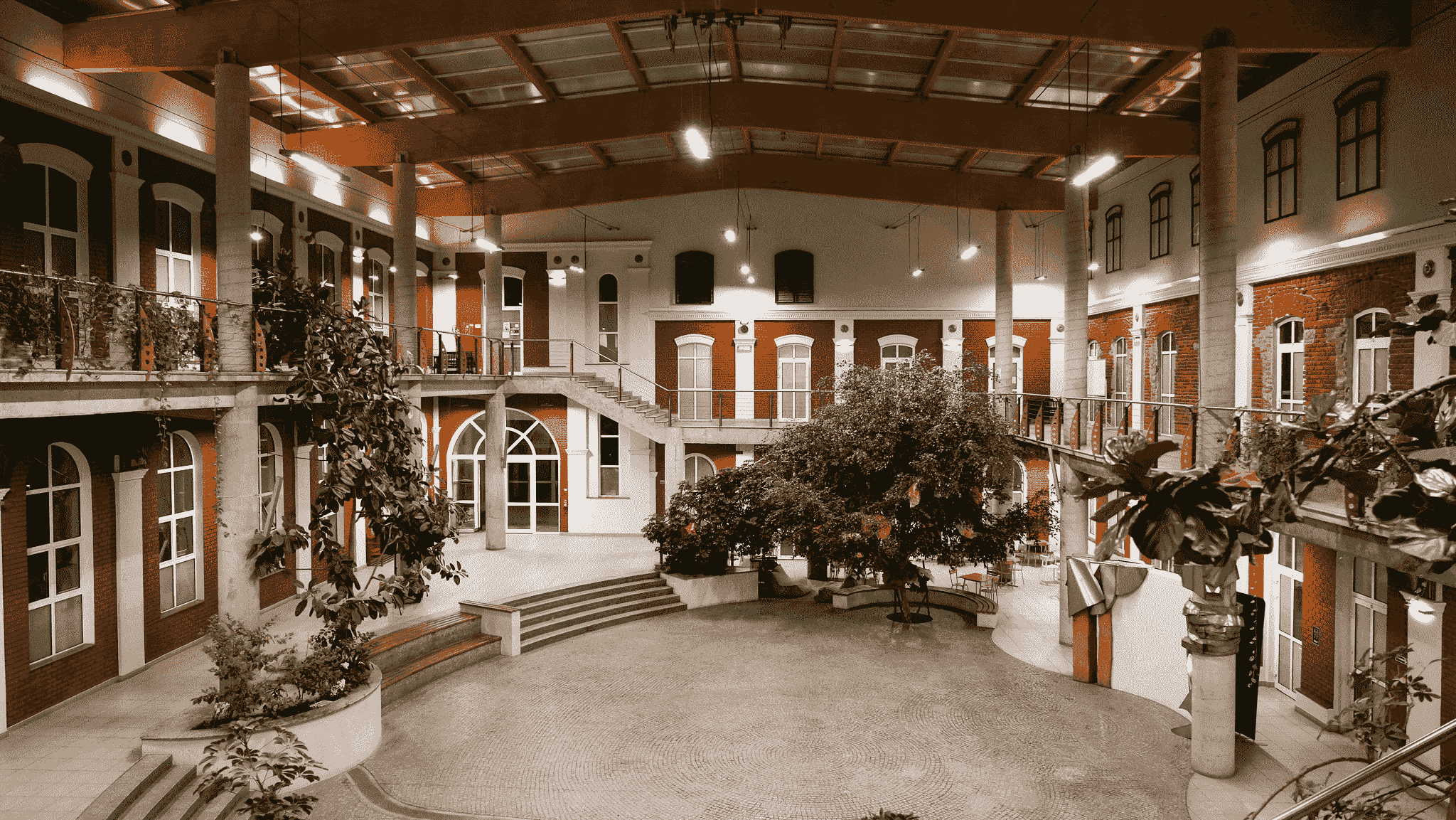 patio w szkole SEI w centrum Łodzi z dużą ilością zieleni i zabytkowym wnętrzem