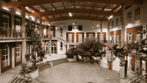 patio w szkole SEI w centrum Łodzi z dużą ilością zieleni i zabytkowym wnętrzem